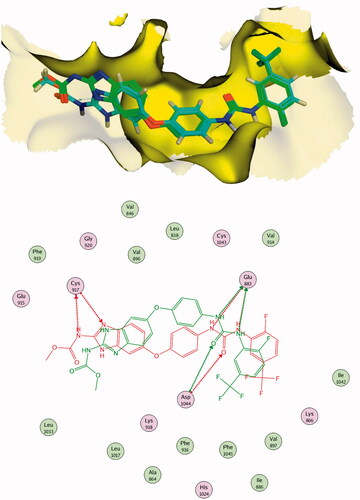 Figure 7. Alignment of the co-crystallised pose and the re-docked pose of the same ligand (PDB ID; 2OH4).