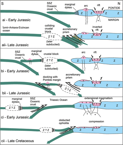 Figure 39. Three alternative models for the Early Jurassic of SSZ oceanic crust. Option b (favoured) is developed in Figure 40. (a) Single subduction zone dipping beneath the Pontide continental margin. ai, The ophiolite forms by SSZ spreading, coupled with rifting (extension) of the Eurasian margin. The dyke swarms cutting metasediments (beneath the Refahiye ophiolite; see Figure 19) are explained by initiation of spreading along the Eurasian margin; aii, A colliding crustal block (continental fragments or igneous seamount) is invoked to explain the well-documented closure of the backarc rift and deformation of the Eurasian continental margin during the Late Jurassic; (b) Two N-dipping subduction zones, one oceanic and one adjacent to the Pontide margin. Older oceanic crust (Palaeotethys) is subducted to create the Jurassic backarc rift and arc. bi, The Early Jurassic oceanic crust is generated by SSZ spreading in a more oceanic setting. A crustal block is again invoked to explain the origin of the dyke swarms (as in ai); bii, the inferred continental fragment collides with the Eurasian margin leading to closure of the backarc rift; (c) Single S-dipping subduction zone. ci, Intra-oceanic subduction possibly initiates along the margin of a crustal block. Slab-pull might help explain the Jurassic continental margin magmatism (but not its subduction-related chemical affinities). cii, Southward subduction culminates in collision and emplacement over the Eurasian margin during the Late Cretaceous. Some accretionary melange was indeed emplaced over the Eurasian margin during the Late Cretaceous but evidence for large-scale ophiolite obduction is absent. Each of the above models has some pros and cons as discussed in the text.