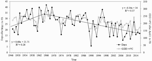 Figure 1. Annual variation in the earliness of the occurrence of the spring phenology stage ‘full bloom’ for cultivar ‘Gravenstein’ at Ås, Norway, during the period 1946–2016. The regression lines for the two time phases (1946–1966 and 1966–2016) denote correlations between the number of days for the occurrence of full bloom and progression of time (calendar years). The parallel April–May heat sums are included for comparison.