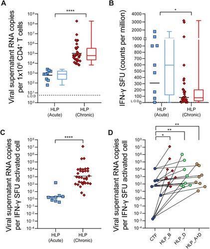 Figure 4. HLP_B induces significantly greater latency reversal in tCHI samples than in tAHI samples. (A) Viral copies in culture supernatant from latency reversal assay were measured by qRT-PCR. (B) Activation of CD4+ T cells was determined by SFU count via IFN-γ ELISpot assay. (C) The ratio of HIV vRNA copies per IFN-γ activated cell was calculated. Each datapoint represents one donor from the respective cohort. (D) Comparison of three HLP formulations (HLP_B, _D, and _A + D) on latency reversal efficiency in the tCHI cohort and intra-donor pairwise alignment comparison among three HLP formulations and CTF was shown. Each pair of datapoints connected by a line is from one donor. Two-tailed Mann–Whitney tests were performed to test inter-sample significance, and two-tailed Wilcoxon matched-pairs signed rank tests were performed to test intra-sample significance. *p < 0.05; **p < 0.01; ***p < 0.001; ****p < 0.0001. HLP, HIV-1/virus-like particle; SFU, spot forming units; L.O.D, limit of detection. Geometric mean shown for scatter, median is shown for box–whisker plots.