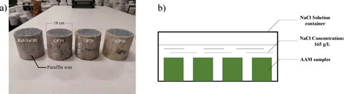 Figure 3. Accelerated chloride penetration test: (a) AAM samples; (b) Immersed setup.