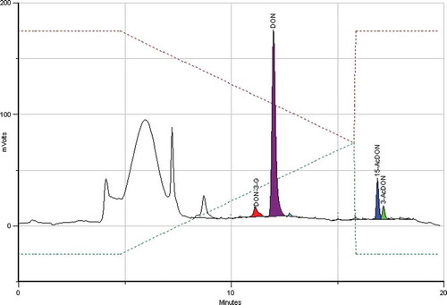 Figure 6. (colour online) IAC-HPLC-PCD-FLD chromatogram of a maize sample contaminated with the following concentrations: DON – 131 µg kg−1 / DON-3-G – 17 µg kg−1 / 15-AcDON – 23 µg kg−1 and 3-AcDON – 9.8 µg kg−1.