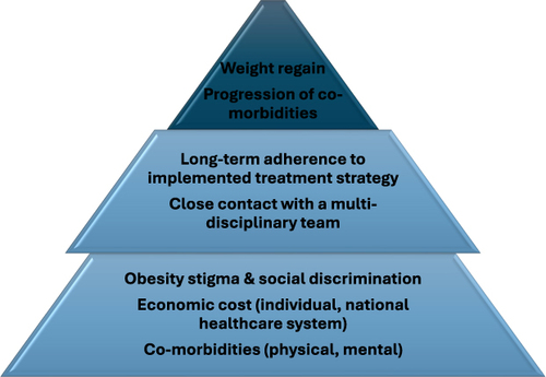 Figure 1 Main challenges to tackle against the ongoing obesity epidemic.