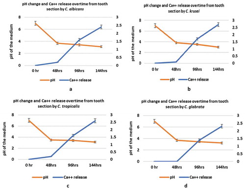 Figure 3. (a–d) Ca++ release assay and pH changes initiated by four different Candida species during tooth-demineralization evaluation (3a, C. albicans n = 10; 3b, C. krusei n = 10; 3c, C. tropicalis n = 10; 3d, C. glabrata n = 5)