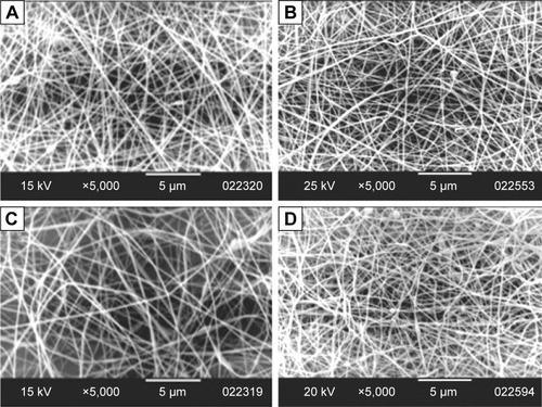 Figure 3 SEM micrographs of blank EL 15% (w/v) NFs prepared at different voltages: (A) 10 kV, (B) 15 kV, (C) 20 kV and (D) 25 kV.Note: The feeding rate was fixed at 0.5 mL/h.Abbreviations: SEM, scanning electron microscopy; EL, Eudragit L100; NF, nanofiber.
