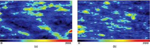 Figure 1. Comparison between pre- (a) and post-treatment blood perfusion (b) images in the blank group.