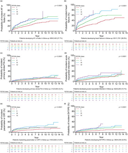 Figure 3. Probability of outcomes over time by index NYHA class, accounting for death as a competing risk, for (a) incident AF or flutter (N = 2,492); (b) incident heart failure (N = 1,781); (c) incident primary ischemic stroke or TIA (N = 3,804); (d) incident acute MI (N = 3,230); (e) incident composite of pacemaker and CRT (N = 3,063); and (f) DVT/PE (N = 4,045). Abbreviations. AF, atrial fibrillation; CRT, cardiac resynchronization therapy; DVT, deep vein thrombosis; MI, myocardial infarction; NYHA, New York Heart Association; PE, pulmonary embolism; TIA, transient ischemic attack.