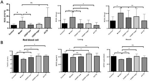Figure 4. CDDP attenuates hypobaric hypoxia-induced oxidative stress. Blood, lung and heart samples collected from rats have conducted the following assays. (A) ROS levels determined by the assay kit. (B) Serum TAOC, SOD and GPX1 levels detected by the assay kit. Samples from every rat were detected separately. Data indicate the average ± SEM of at least three independent experiments. n = 6 of each group. *p < 0.05, **p < 0.01.