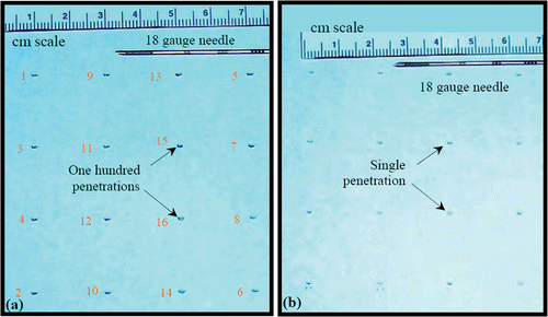 Figure 10. Position and size of holes (a) after one hundred penetrations at each location by moving the needle from one location to the next after each penetration; and (b) after a single penetration at each location. [Color version available online.]