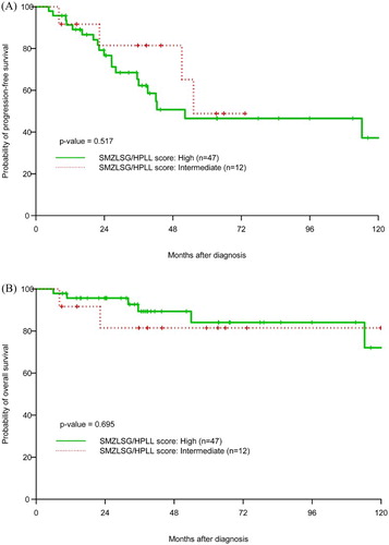 Figure 3. Kaplan–Meier estimation of PFS and OS by SMZLG/HPLL score for splenic MZL cohort (A, B).