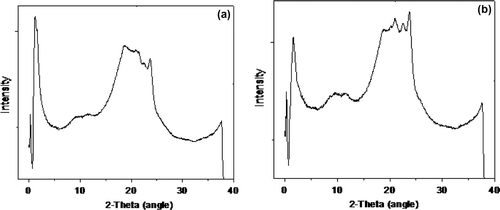 Figure 7. WAXS pattern of the sample at room temperature: (a), A1; (b), T1.