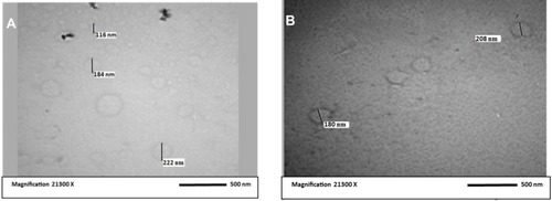 Figure 4 TEM images of the prepared nanoparticles: (A) S1 and (B) S2.