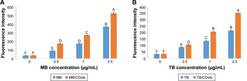 Figure 3 Fluorescence intensities from ROS produced by E. coli cells after 1-hour treatment with MB (A) or TB (B), or combined with 5 μg/mL CDots under visible light illumination.Notes: Different letters above the bars for each concentration indicate statistical differences (P<0.05); identical letters above the bars indicate no statistical difference.Abbreviations: CDots, carbon quantum dots; E. coli, Escherichia coli; MB, methylene blue; ROS, reactive oxygen species; TB, toluidine blue.