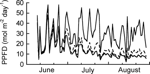 FIGURE 3 Seasonal changes in daily cumulative photosynthetically active photon flux density (PPFD) on the soil surface in the Salix patches and bare site. The upper solid line indicates the data in bare site, and the broken line and lower solid line indicate the data in the patches, respectively.