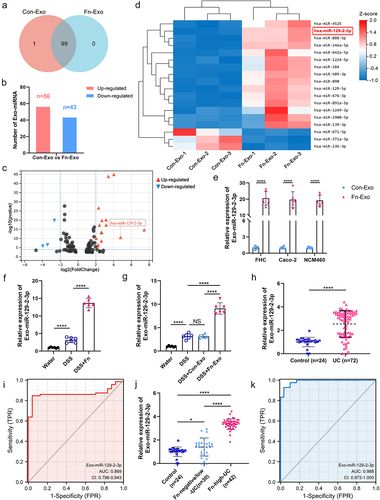 Figure 3. Exo-miR-129-2-3p may function as a potential Fn-high-UC diagnosis biomarker. (a) Venn diagram showing the unique and overlapping differential miRNAs between Con-Exo and Fn-Exo. (b) The up-and down-regulation of these 99 miRNAs. (c) Volcano plots of these 18 differentially expressed miRNAs. (d) Heatmap showing the profiles of differentially expressed miRNAs in Con-Exo and Fn-Exo. (e) Detection of relative expression levels of Exo-miR-129-2-3p in Con-Exo and Fn-Exo derived from 3 cell lines by qRT-PCR. (f and g) qRT-PCR analysis of Exo-miR-129-2-3p expression in serum of mice in different treatment groups (n = 6). (h) Relative Exo-miR-129-2-3p levels in healthy volunteers (n = 24) and UC patients (n = 72) serum. (i) The sensitivity and specificity of serum Exo-miR-129-2-3p for UC prediction were evaluated through receiver-operating characteristic (ROC) curve analysis. (j) qRT-PCR analysis of Exo-miR-129-2-3p expression in serum of healthy volunteers (n = 24), Fn-negative/low-UC patients (n = 30) and Fn-high-UC patients (n = 42). (k) ROC curve analysis assessed the sensitivity and specificity of serum Exo-miR-129-2-3p for the diagnosis of Fn-high-UC. Data are represented as means ± SEM. *p < 0.05, **p < 0.01, ***p < 0.001, ****p < 0.0001; NS, not significant.