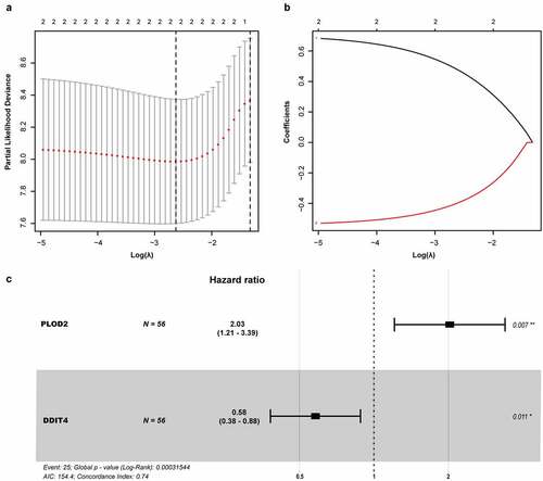 Figure 5. Prognostic model of the GRGs. (a and b) After screening out from univariate cox regression, the partial likelihood deviation and coefficients were calculated by LASSO. (c) The multivariate cox regression showed only PLOD2 and DDIT4 were enrolled. A p-value <0.05 would be considered statistically significant