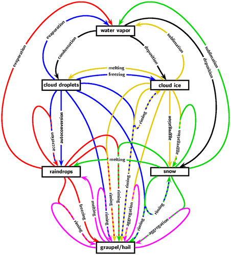 Fig. 7. An example of schematic summarizing for a given one-moment microphysical parametrization, showing the selected water categories or species, with arrows indicating the different processes operating among these species. The colour of an arrow refers to the species that is transformed by a process (black: water vapour, blue: cloud droplets, red: raindrops, yellow: cloud ice, green: snow, pink: graupel/hail), and when two species are concerned, the arrow is two-coloured (© Copyright Axel Seifert, reproduced with permission).