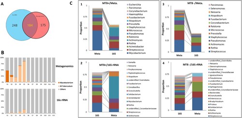 Figure 5. Comparison of microbial composition between the metagenomic and 16S rDNA data. A: Overlap of identified genera between two data sets. B: Comparison of the read abundance of Mycobacteria and M. tuberculosis in lung microbiome from MTB+ and MTB- patients revealed by the metagenomic and 16S rDNA gene amplicon sequencing. C: (1) the top 10 most abundant genera in the metagenomic data in MTB+ data sets; (2) the top 10 most abundant genera in the 16S rDNA data in MTB+ data sets; (3) the top 10 most abundant genera in the metagenomic data in MTB- data sets; (4) the top 10 most abundant genera in the 16S rDNA data in MTB- data sets.