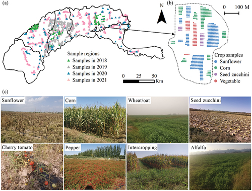 Figure 3. Spatial distribution of sampling regions in HID (2018–2021) (a), illustration of crop sample points in a sampling region (b), and photos of diverse crop samples (c).
