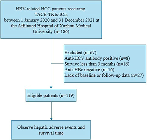 Figure 1 The patients flowchart.