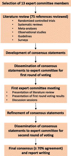 Figure 1. Flow diagram on the development process of the expert consensus on SABA overreliance in Malaysia.