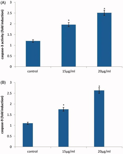 Figure 11. Effect of AuNPs from A. spectabilis of caspase-3 and 9 activity. Values are expressed as the mean ± SD (n = 3). Significant at *p < .05; compared with untreated control cells.