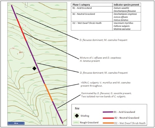 Fig. 3. Phase 1 mapping and occurrence of indicator species with specific locations for selected species at shieling site A.