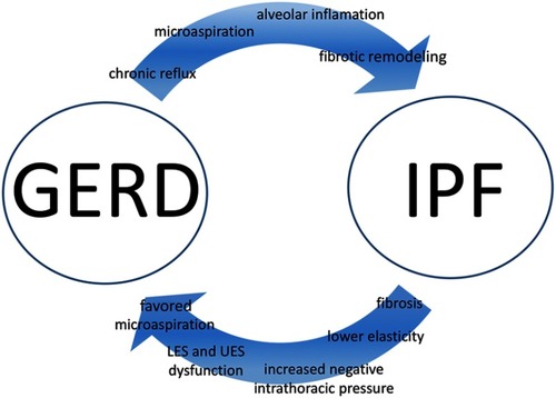 Figure 2 Mutual mechanisms behind GERD and IPF.