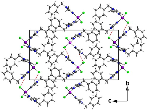 Figure 2. Crystal packing of 1 showing double layers in zigzag along the c axis. Hydrogen bonds are shown as red-dashed lines (C–H···Cl) connecting these layers.