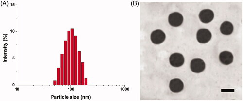 Figure 2. Particle size distribution (A) and TEM image (B) of Cet-SLN/ICG. Scale bar: 100 nm.