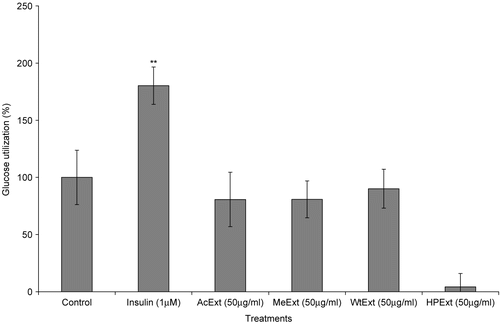 Figure 1.  The effect of V. amygdalina extracts on glucose utilization in the 3T3-L1 cells. Cells were exposed to 12.5 μg/ml extract for 48 h prior to and 50 μg/ml during the glucose utilization experiment. Data represents the mean ± SD (n = 6). AcExt: acetone extract; MeExt: methanol extract; WtExt: water extract; HPExt: n-hexane/isopropanol extract. **p < 0.01 compared to control.