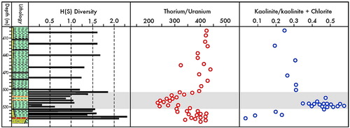 Fig. 10 Distribution of environmental proxies in core BH9/05 including H(S) diversity index, thorium/uranium ratio and kaolinite content. The Paleocene–Eocene Thermal Maximum (PETM) anomaly is shaded. (The plots of the latter two proxies are based on data from Dypvik et al. Citation2011.)