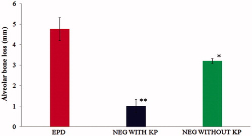 Figure 2. Effect of 2% w/w nanoemulgel of KP and without KP on the alveolar bone loss in experimental periodontal disease (EPD) in rat, comparison with EPD without treatment. Bars represent the mean ± S.D of alveolar bone loss (mm; n = 6). *p < 0.05 was considered less significant difference compared with NEG without KP and non-treated groups; **p<0.05 was considered more significant difference compared with NEG loaded with KP and non treated group. (ANOVA, Turkey–Kramer multiple comparisons test).
