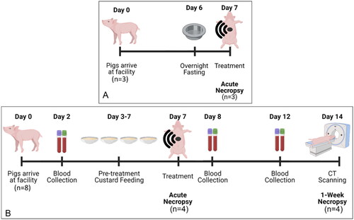 Figure 1. Timeline. Timeline of first pig study (A). Timeline of second pig study using specialty diet during pig preparation (B).
