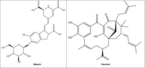 Figure 2. Structures of betanin in seaberry saltbush (Rhagodia candolleana) and the pigface (Carpobrotus rossii) (Njume, McAinch, and Donkor Citation2020); garcinol in yellow mangosteen (Garcinia dulcis) (Deachathai et al. Citation2005, John et al. 2020).