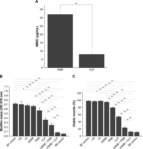 Figure 3 Antibacterial effects of different treatments on biofilm-producing AB in vitro.Notes: (A) MBIC of PMB and CLPs to biofilm-producing AB (n=3). (B) Crystal violet staining assays and (C) resazurin assays were used to evaluate the effects of different treatments on the biofilm biomass (n=6). The different preparations contained 2 µg/mL of polymyxin B. The frequency of this unfocused ultrasonic transducer was 1.0 MHz, and the acoustic intensity was set as a continuous ultrasonic intensity of 3 W/cm2. The duration of the US intervention was 5 minutes. *P<0.05, **P<0.01.Abbreviations: AB, Acinetobacter baumannii; MBIC, minimal biofilm inhibitory concentration; BF, biofilm; US, ultrasound; CL, chitosan-modified liposome; USMB, ultrasound microbubble; PMB, polymyxin B; CLP, chitosan-modified polymyxin B-loaded liposome; USMB + PMB, ultrasound microbubble and polymyxin B; USMB + CLP, ultrasound microbubble and chitosan-modified polymyxin B-loaded liposome; SB, sterile blank.