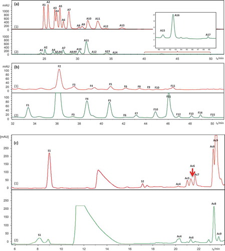 Figure 1. HPLC/DAD chromatograms of berry extracts of (1) bilberry (in red) and (2) bog bilberry (in green): (a) 520 nm, (b) 360 nm, (c) 300 nm.A1–A17 for anthocyanins, Ac1–Ac14 for hydroxycinnamic acid derivatives, F1–F15 for flavonols, S1–S2 for stilbenes, and I1 for iridoid. Peak assignments as in Table 1.