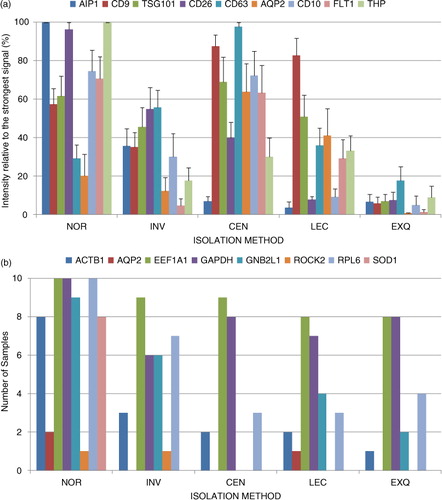 Fig. 3.  Analysis of the uEV-enrichment performance of the tested methods. (a) Average of the relative quantification for each protein and method (n = 10). Optical densitometry values were determined using ImageJ software, and the quantities were relative to the strongest band for each protein and sample. (b) Number of samples in which the indicated gene transcript was detected for each of the methods (n = 10).