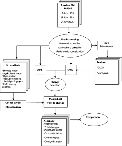 Figure 3. Flow diagram of the methodology.