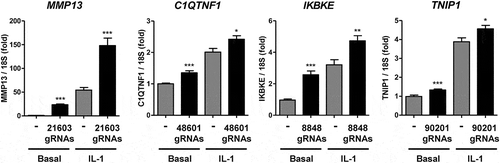 Figure 4. Effect of enhancer-targetted Cas9-VPR on gene expression