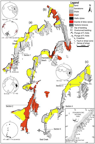 Figure 13. Maps of coastal outcrops north of Seal Creek and representative structural data. The positions of cross-sections 1–5 illustrated in Figure 14 are shown and inset shows location of the detailed maps. Chert units occur as isolated lenses or boudins bounded by D1 bedding-parallel faults between the turbidites and are folded by F2. Contour intervals are 0.5, 3, 5, 9 and >12% per 1% area.