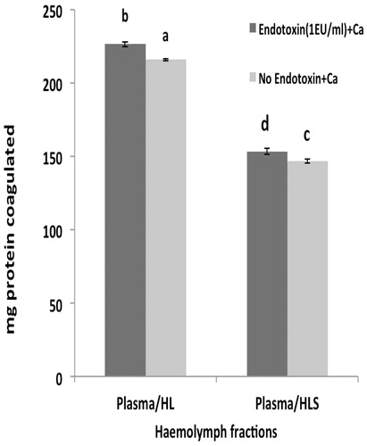Figure 3. Endotoxin-induced protein coagulation with the plasma/HL and plasma/HLS hemo-lymph fractions. Values shown are mean ± SEM of four determinations. Bars bearing different letters are significantly different (p < 0.05).