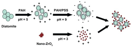 Figure 1 Schematic illustration of the fabrication process.Note: After modification with PAH/PSS, diatomite particles were negatively charged and could adsorb positively charged nano-ZrO2.Abbreviations: PAH, poly(allylamine hydrochloride); PSS, poly(sodium 4-styrenesulfonate).