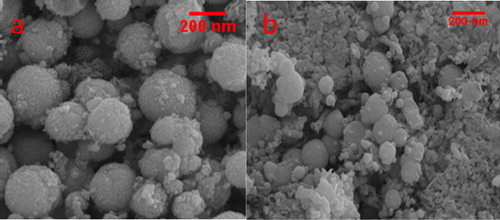 Figure A1. SEM for different concentration of reducing agent a) ratio of FeCl2.4H2O: NaBH4 (1:2) b) ratio of FeCl2.4H2O: NaBH4 (1:5).