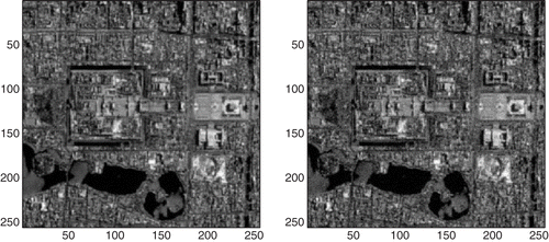 Figure 7. The blurred images for different noise levels: Left: level = 0.05; Right: level = 0.1.