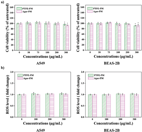 Figure 1. Cell viability (% of untreated control) (a) and intracellular ROS level (fold change compared to untreated control) (b) of A549 and BEAS-2B cells after exposed to PTFE-PM and Agar-PM for 24 h.