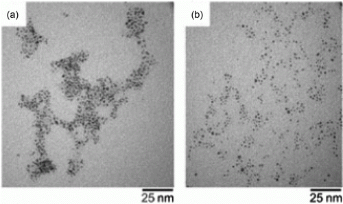 Figure 13.  TEM image of the palladium nanoparticles formed using PEG-1000 as the stabilizer before oxidation of alcohols (a) and after oxidation (b) (53). Reproduced with permission from John Wiley and Sons.