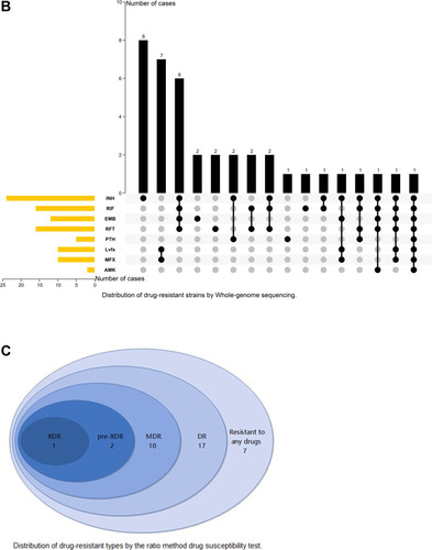 Figure 1 Distribution of 37 drug-resistant Mycobacterium tuberculosis isolates. (A) Distribution of drug-resistant strains by ratio method drug susceptibility test. (B) Distribution of drug-resistant strains by Whole-genome sequencing. (C) Distribution of drug-resistant types by the ratio method drug susceptibility test.