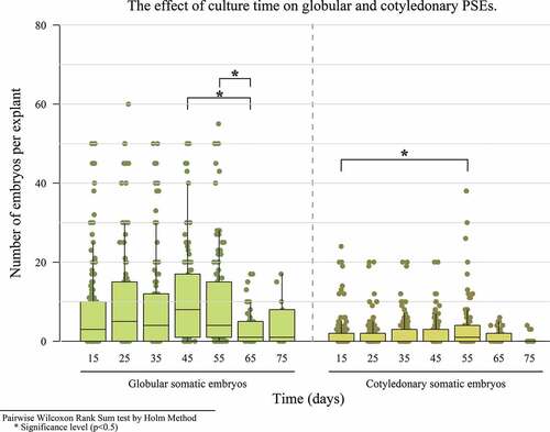 Figure 3. The effect of culture period on the number of globular and cotyledonary PSEs.