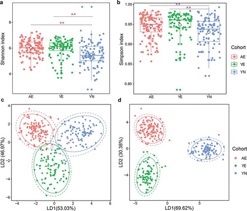 Figure 1. Microbial diversity of gut microbiota in professional Chinese female rowing athletes reveals that significant differences exist in elite and youth non-elite athletes. Comparison of (a) Shannon index and (b) Simpson index of microbial communities among AE, YE and YN cohorts. Linear discriminant analysis was performed to maximize the separation of AE, YE and YN cohorts based on (c) taxonomical composition and d: functional composition collapsed to the level three of the KEGG hierarchy